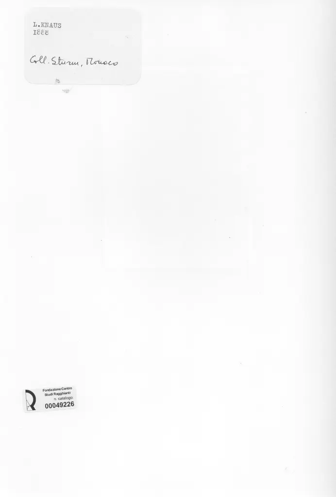 Anonimo , Knaus, Ludwig - sec. XIX - Bambino dai capelli biondi , retro