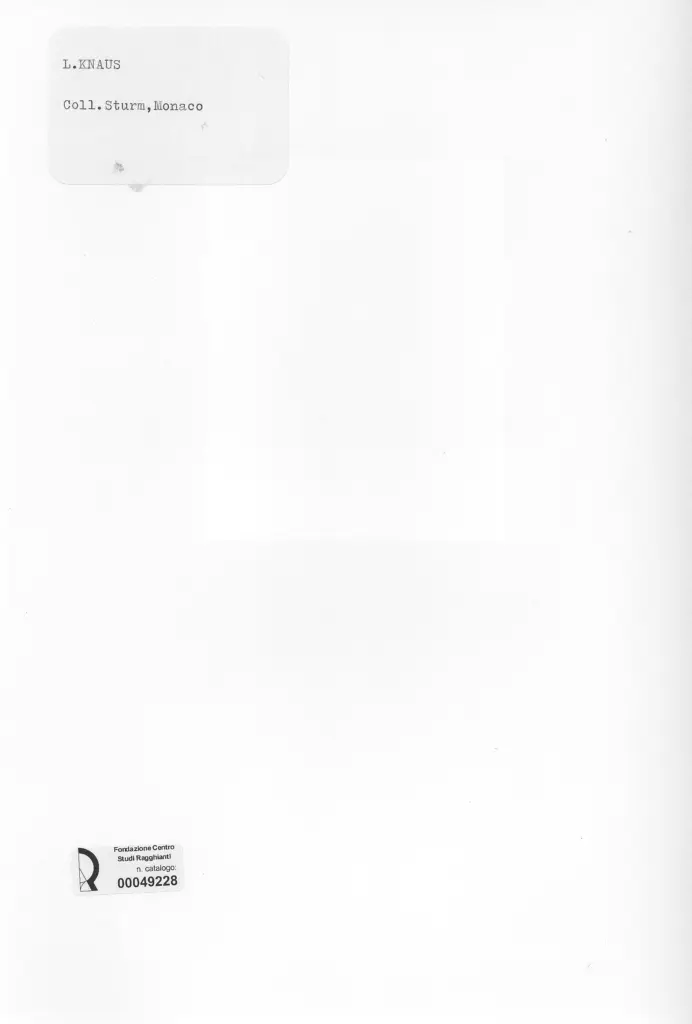 Anonimo , Knaus, Ludwig - sec. XIX - Ragazza dai capelli bruni , retro