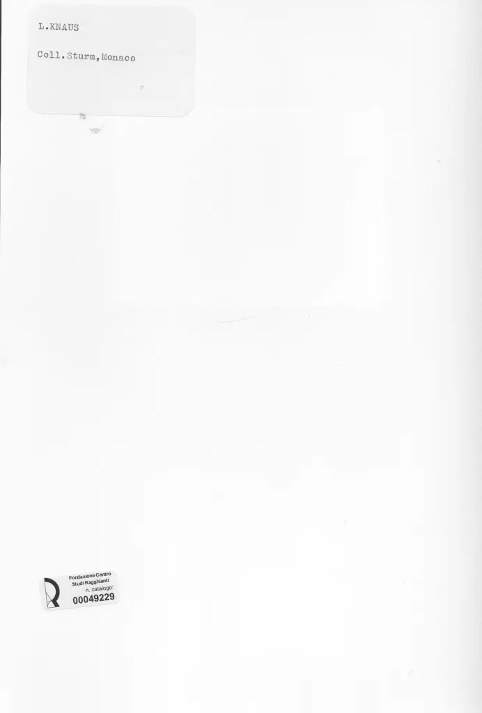 Anonimo , Knaus, Ludwig - sec. XIX - Bambino che gioca , retro