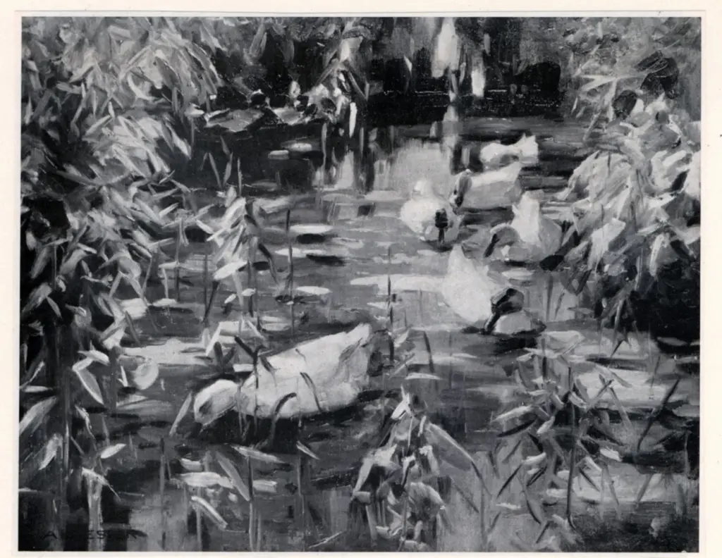 Koester, Alexander , Enten im Schilwasser -