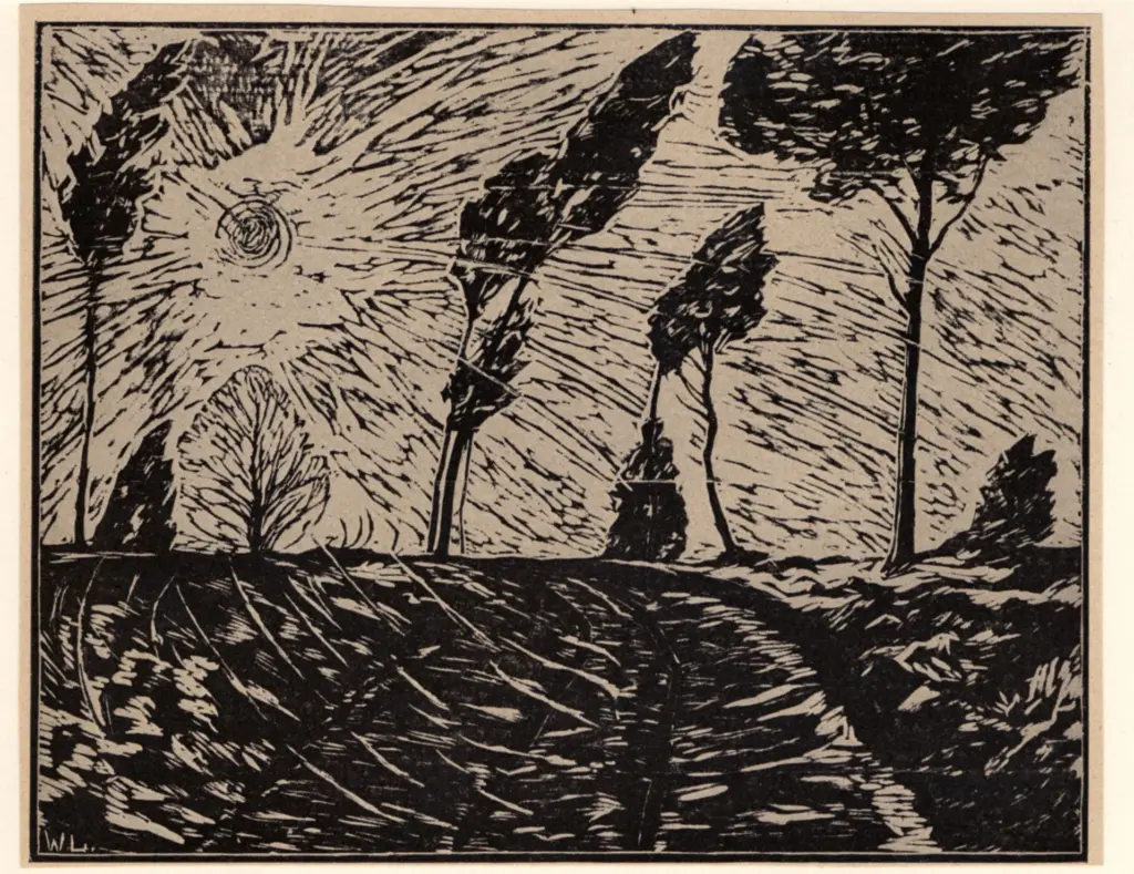 Anonimo, Anonimo , fronte