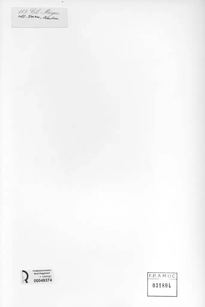 Anonimo , Meyer, Claus - sec. XIX - Suonatore di mandolino , retro