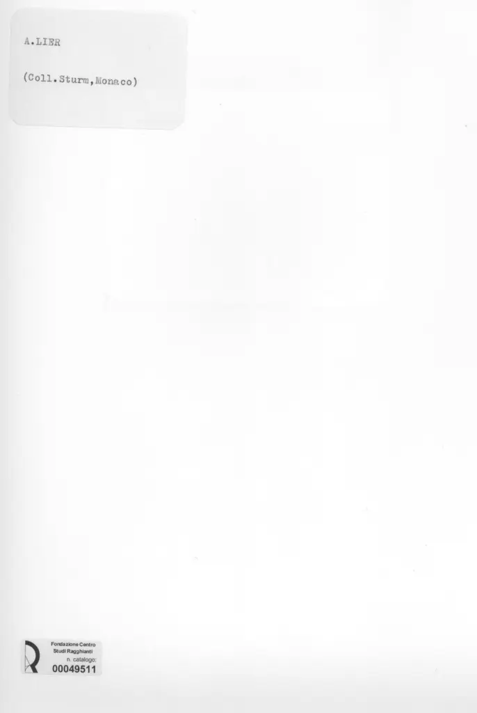 Anonimo , Lier, Adolf - sec. XIX - Paesaggio , retro