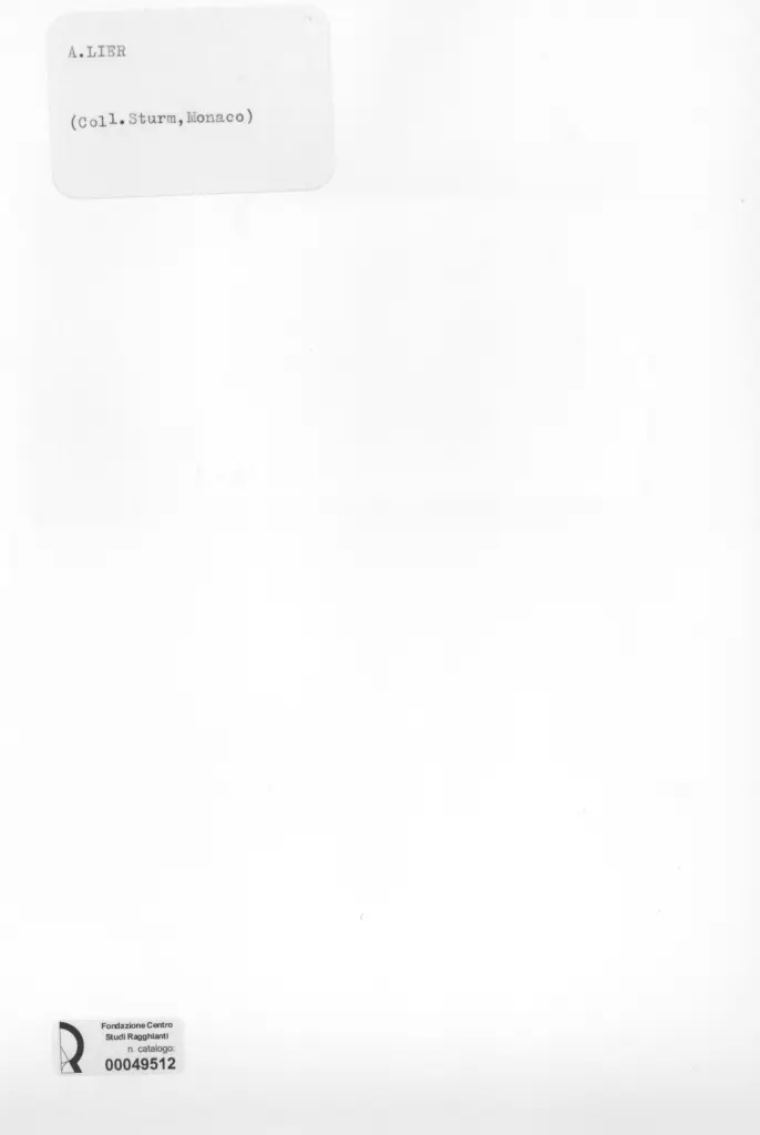 Anonimo , Lier, Adolf - sec. XIX - Paesaggio , retro