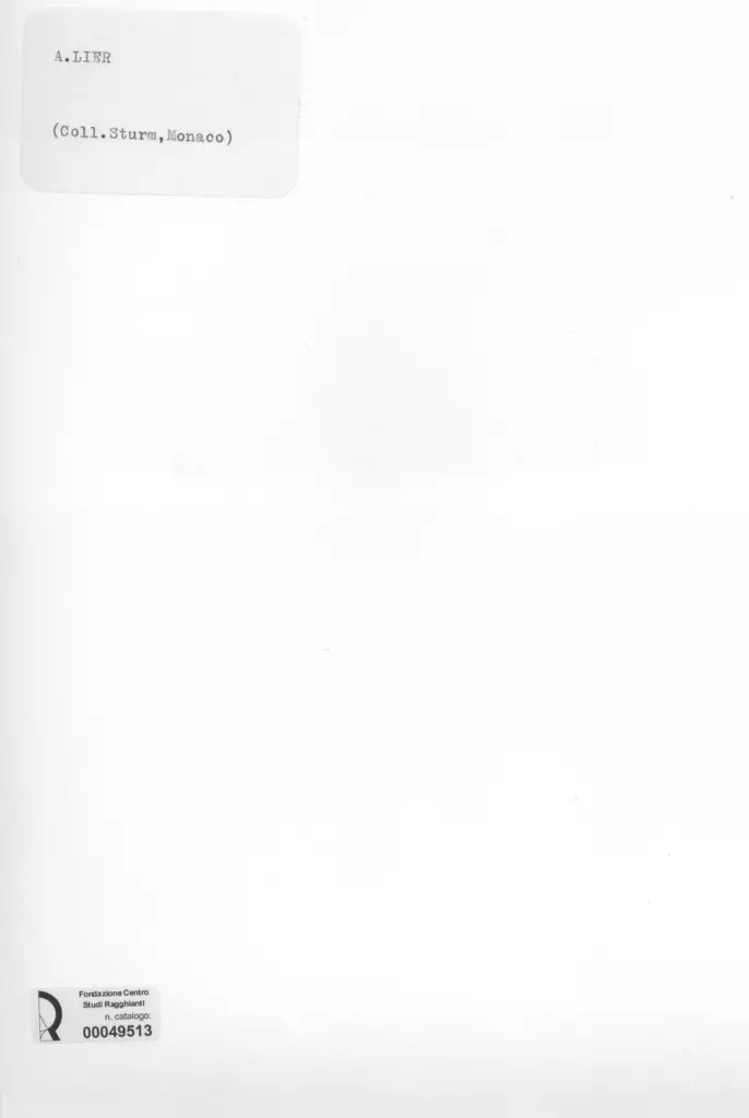 Anonimo , Lier, Adolf - sec. XIX - Barche , retro