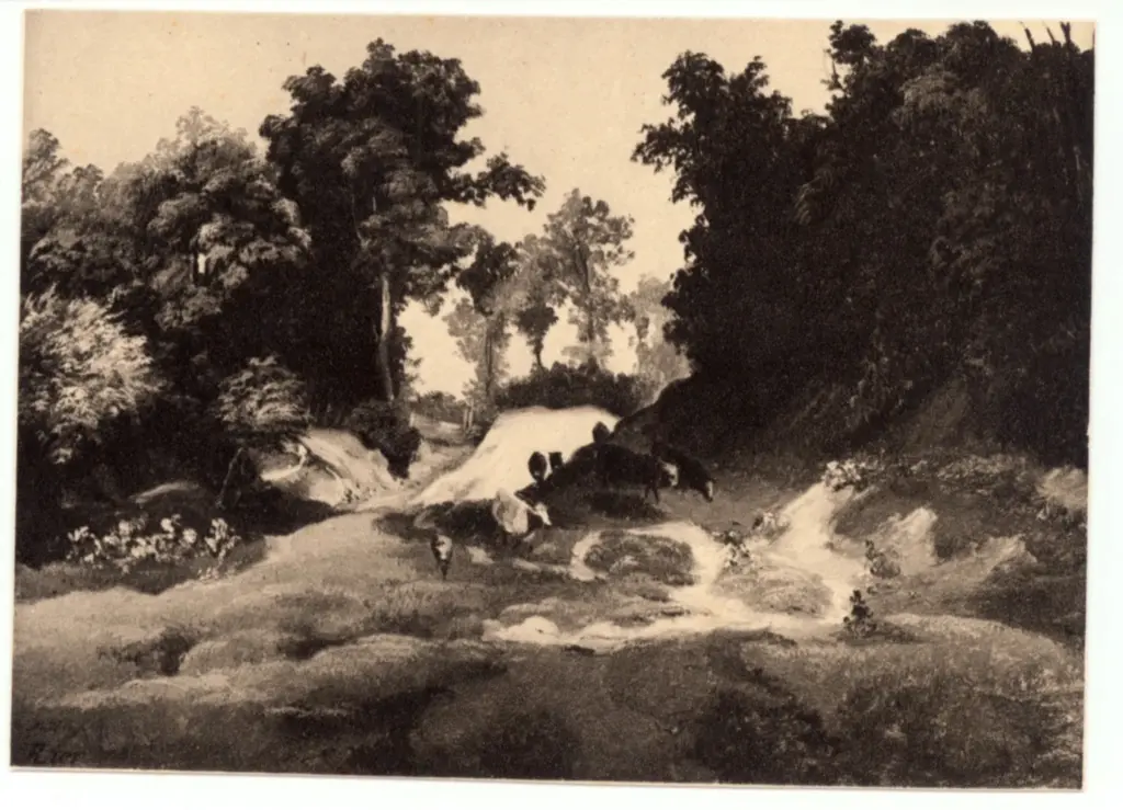 Anonimo , Lier, Adolf - sec. XIX - Paesaggio , fronte