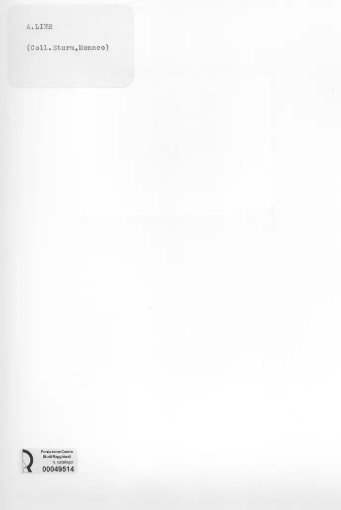 Anonimo , Lier, Adolf - sec. XIX - Paesaggio , retro