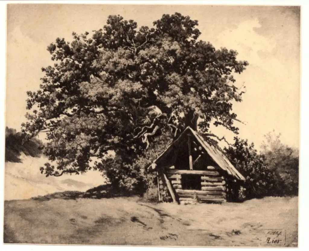 Anonimo , Lier, Adolf - sec. XIX - La capanna , fronte