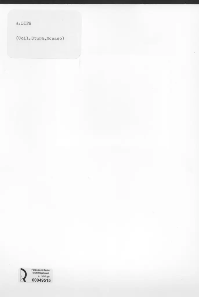 Anonimo , Lier, Adolf - sec. XIX - La capanna , retro