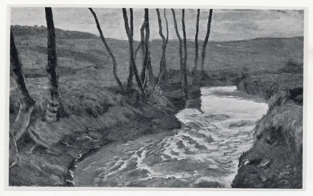 Anonimo, Anonimo , fronte