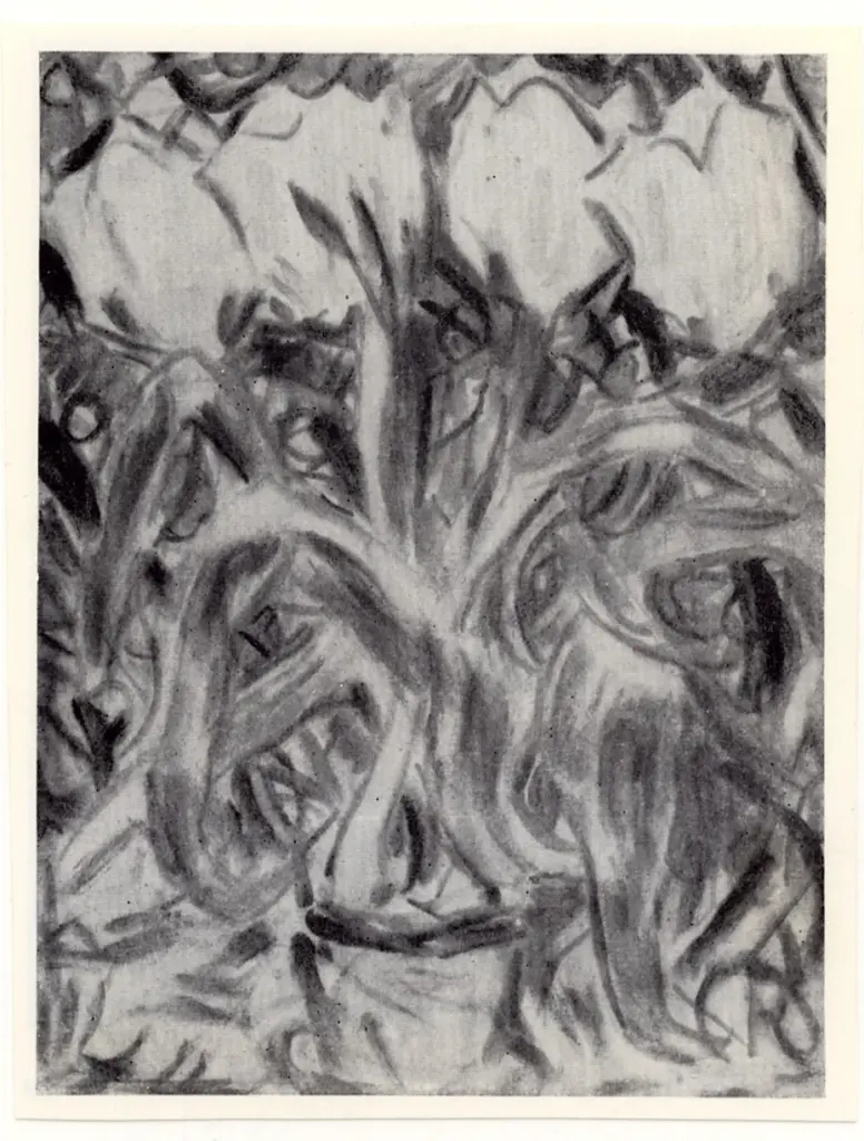 Anonimo , Rohlfs, Christian - sec. XIX/ XX -