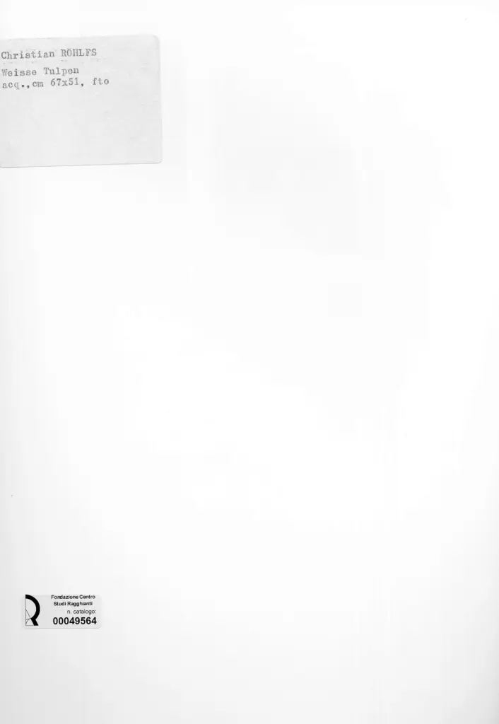 Anonimo , Rohlfs, Christian - sec. XIX/ XX - , retro