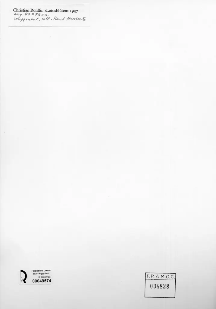 Anonimo , Rohlfs, Christian - sec. XX - Fiori di loto , retro