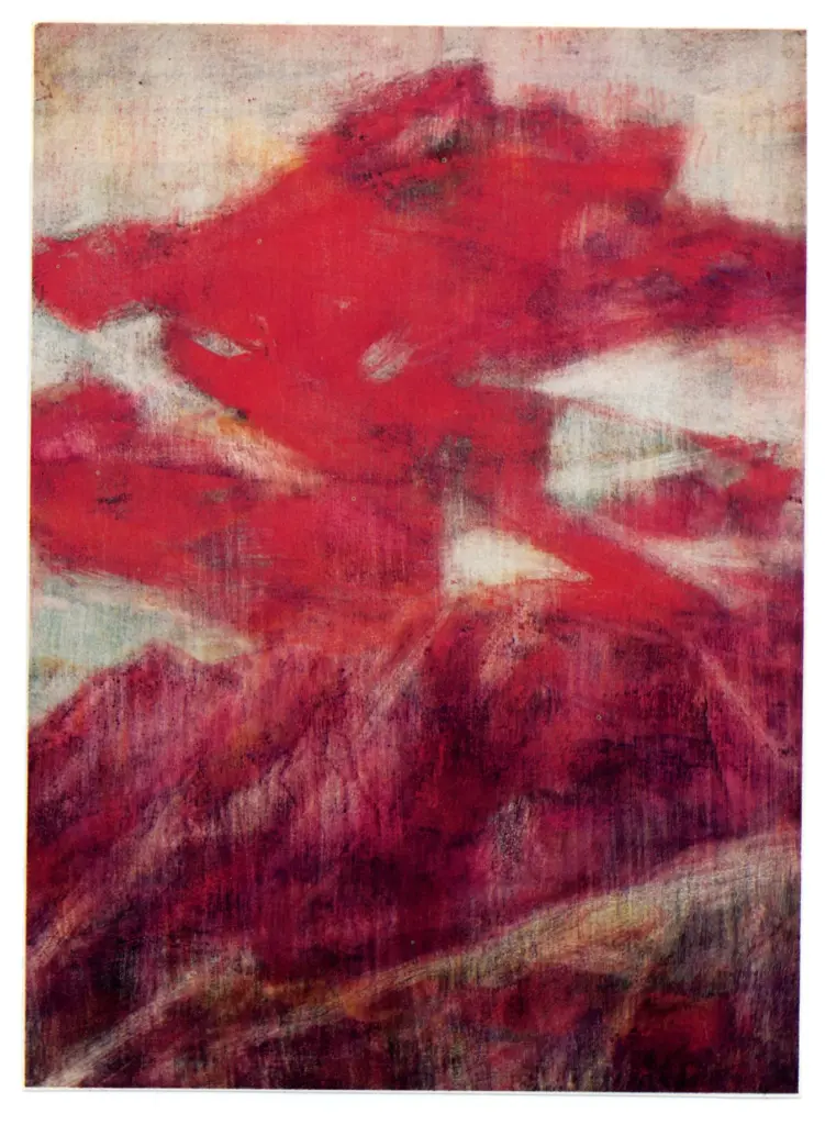 Anonimo, Anonimo , fronte