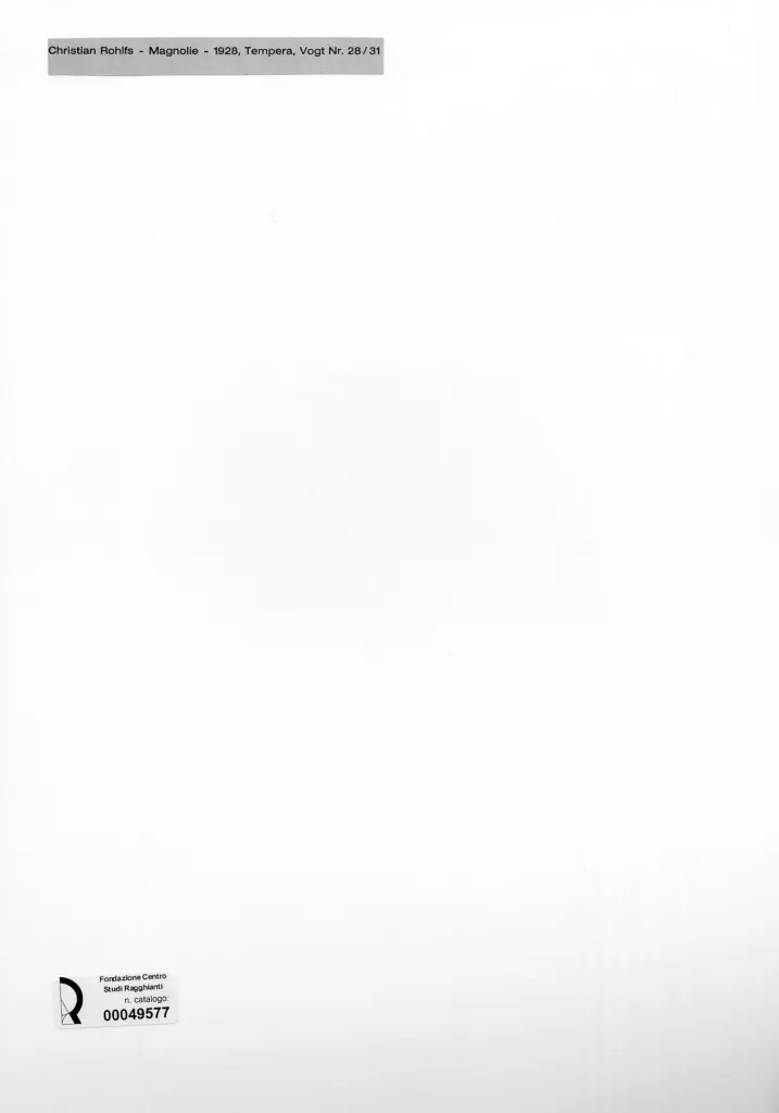 Anonimo, Anonimo , retro