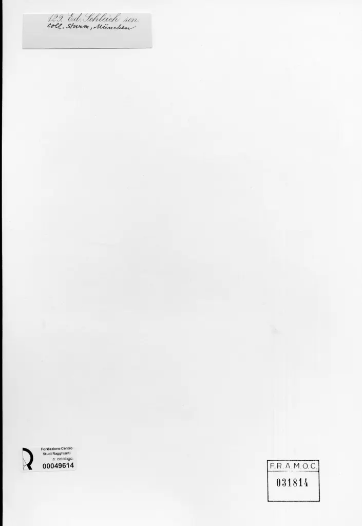 Anonimo , Schleich, Eduard - sec. XIX - Paesaggio , retro