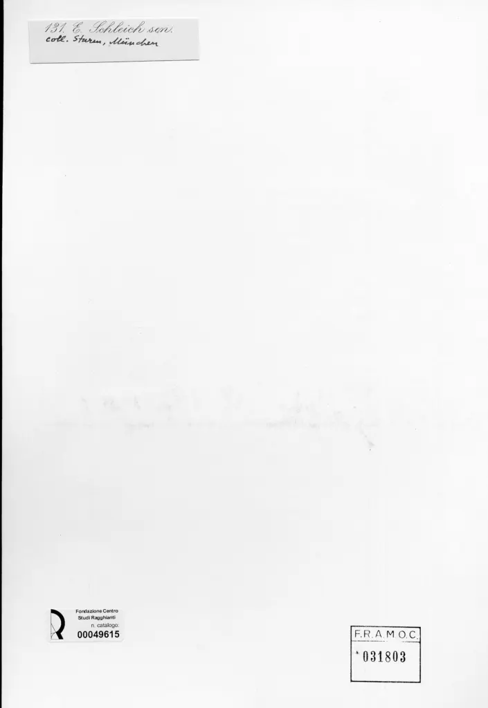 Anonimo , Schleich, Eduard - sec. XIX - Paesaggio , retro