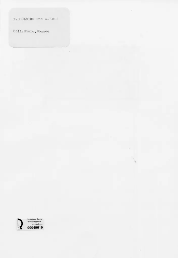 Anonimo , Schleich, Eduard jr - sec. XIX - Paesaggio , retro