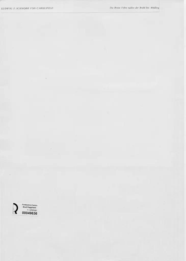 Anonimo, Anonimo , retro