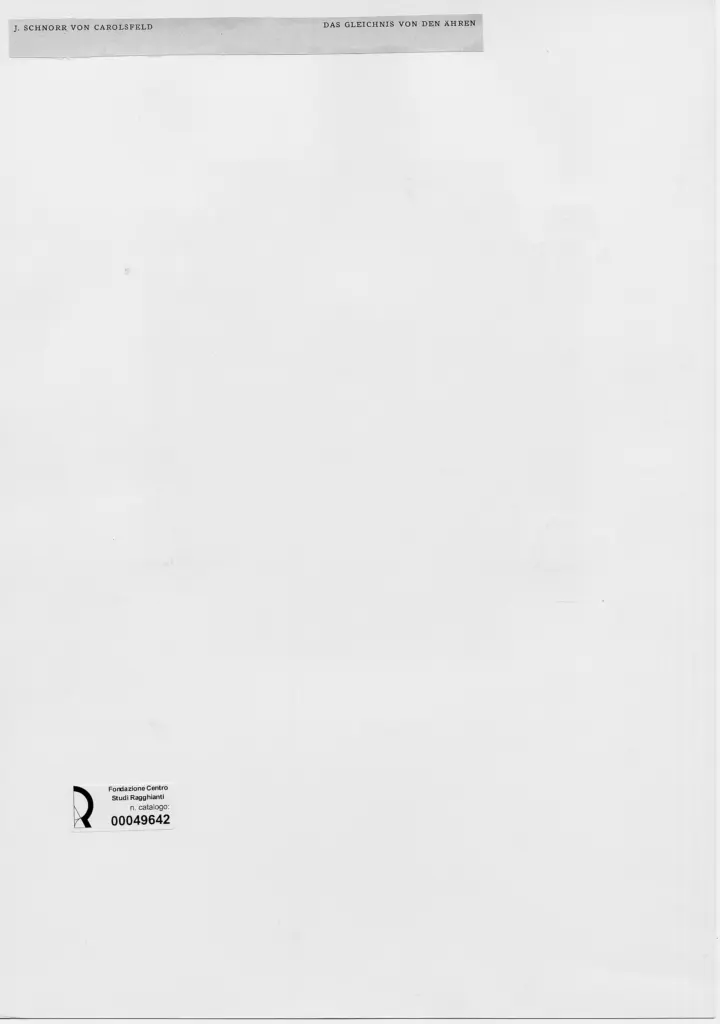 Anonimo, Anonimo , retro