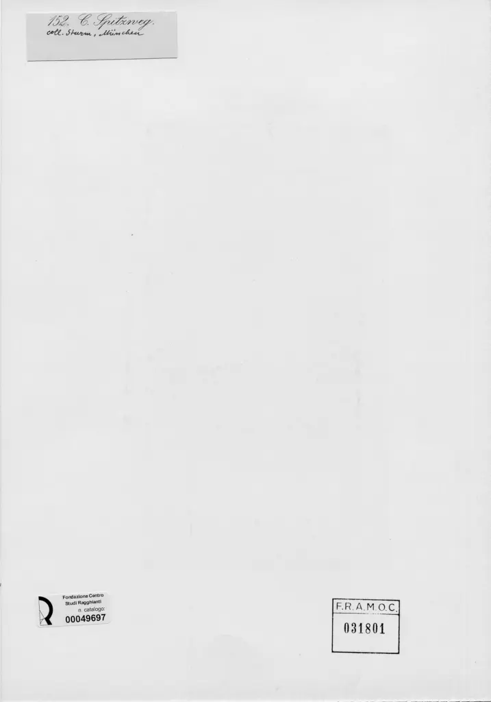 Anonimo, Anonimo , retro