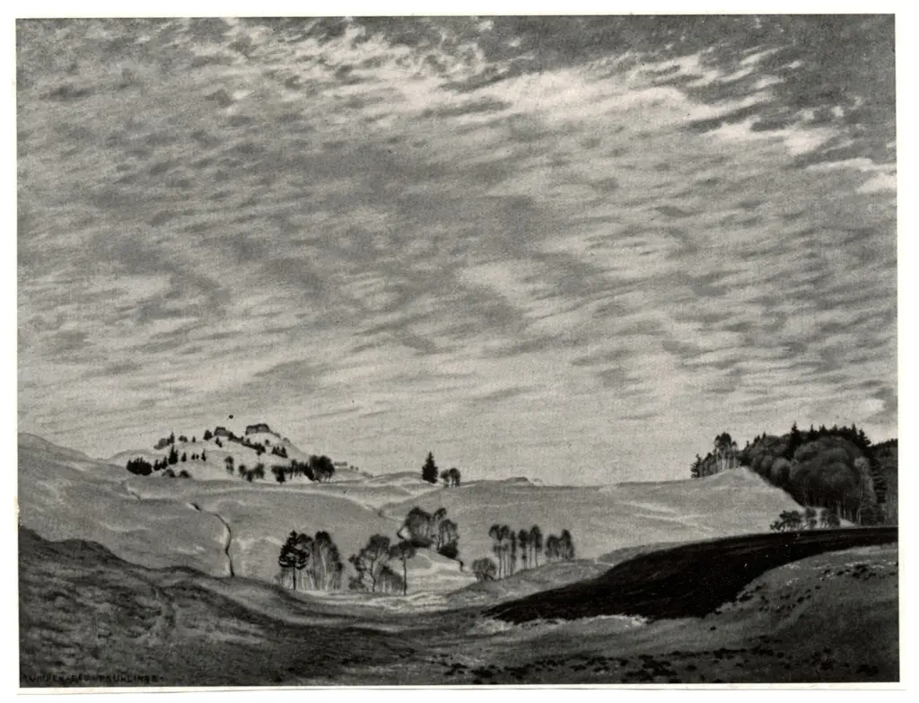 Anonimo, Anonimo , fronte