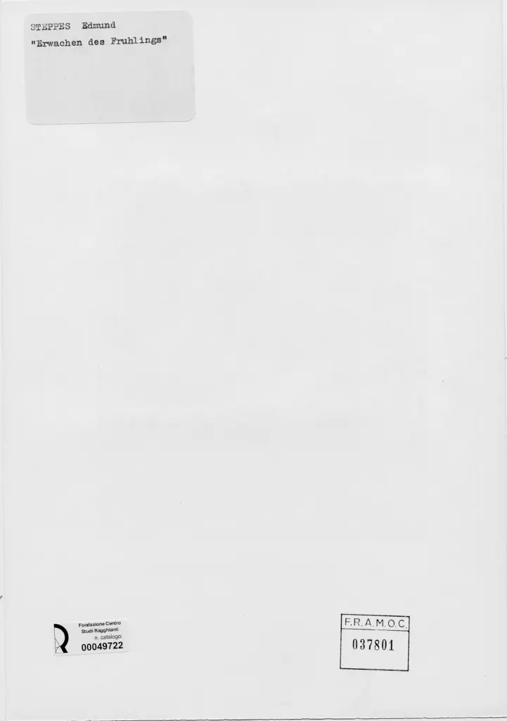 Anonimo, Anonimo , retro