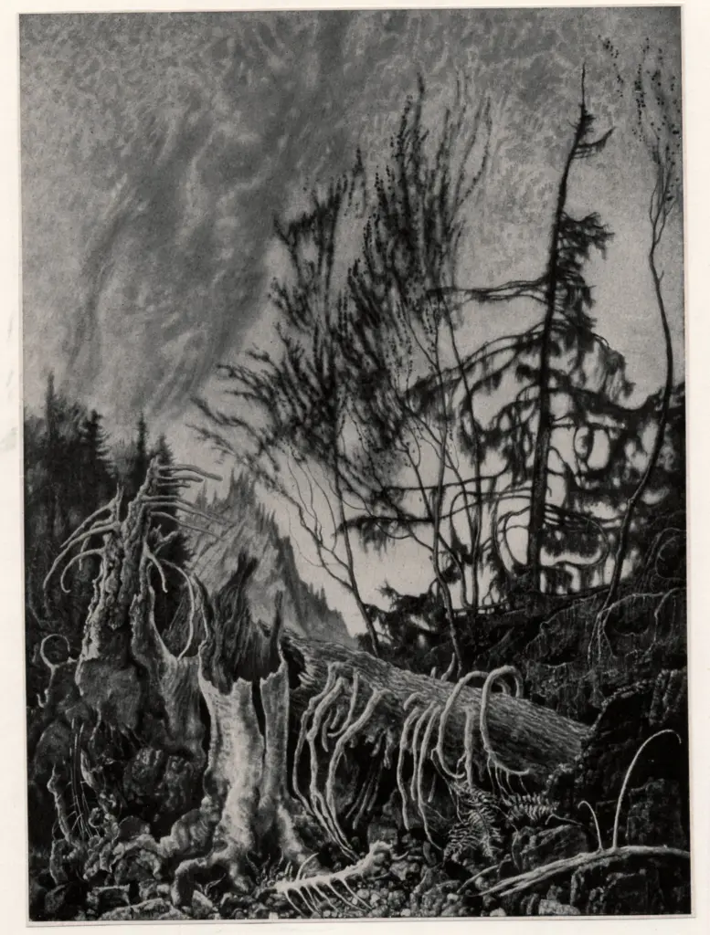 Anonimo, Anonimo , fronte