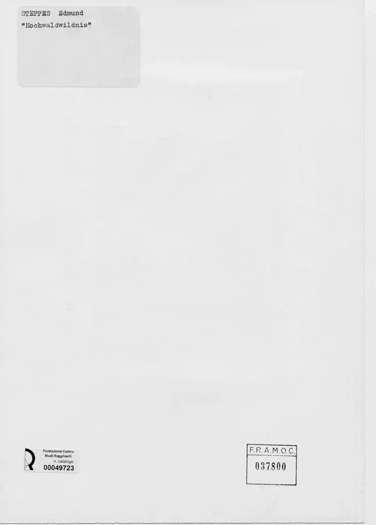 Anonimo, Anonimo , retro