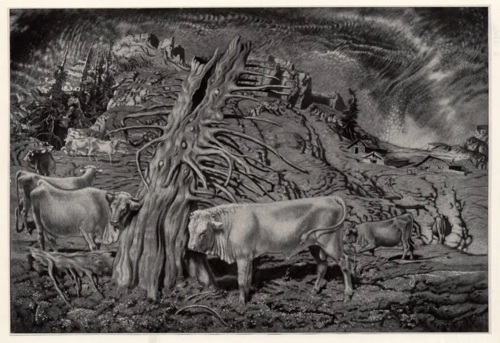 Anonimo, Anonimo , fronte