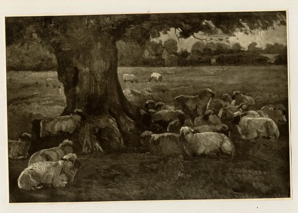 Tooby, Charles - sec. XX , fronte