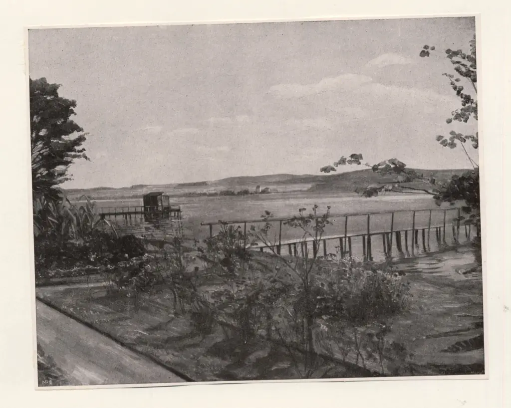 Trubner, Wilhelm , fronte