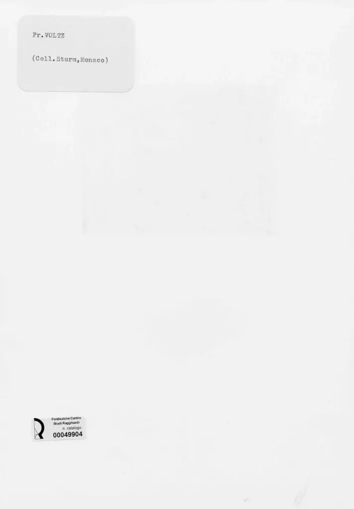 Anonimo , Voltz, Friedrich Johann - sec. XIX - Ritratto di asino , retro