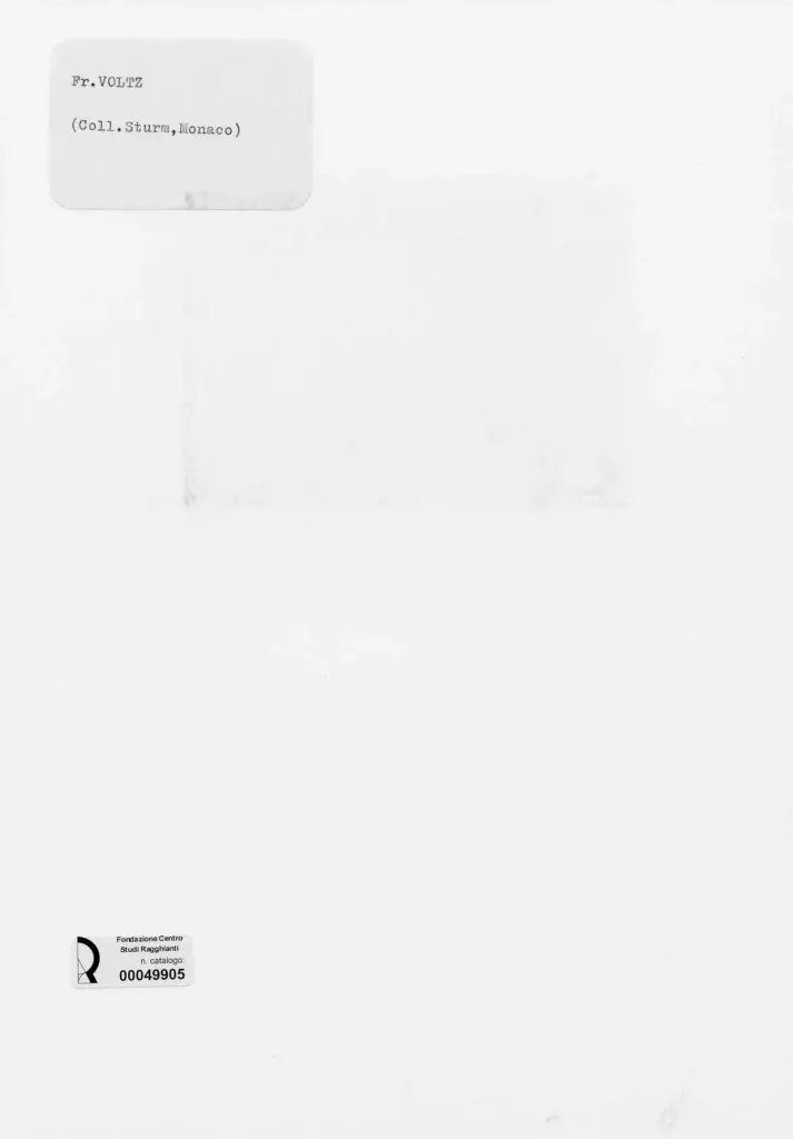 Anonimo , Voltz, Friedrich Johann - sec. XIX - Mucche , retro