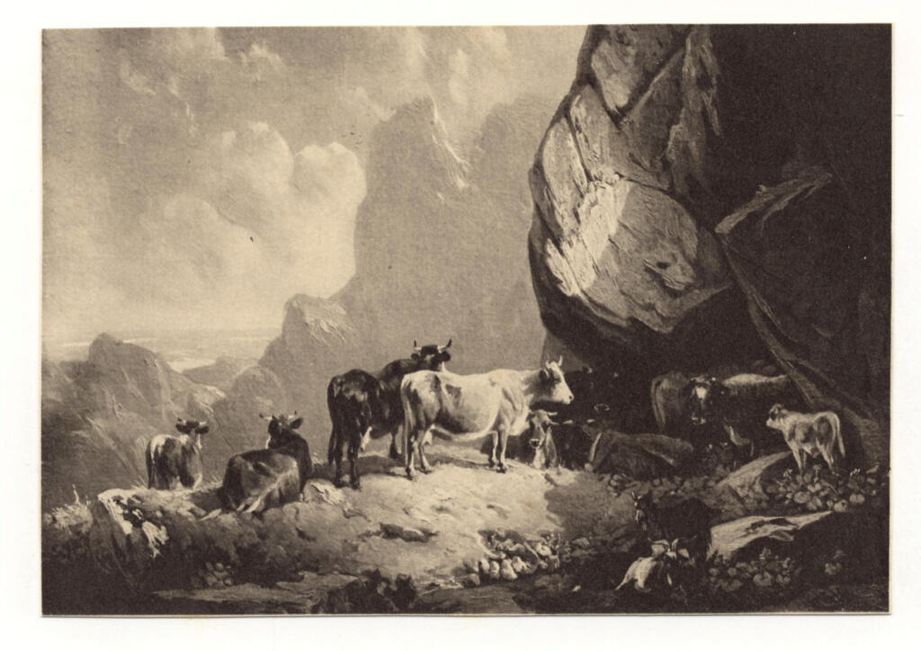 Anonimo , Voltz, Friedrich Johann - sec. XIX - Mucche in montagna , fronte
