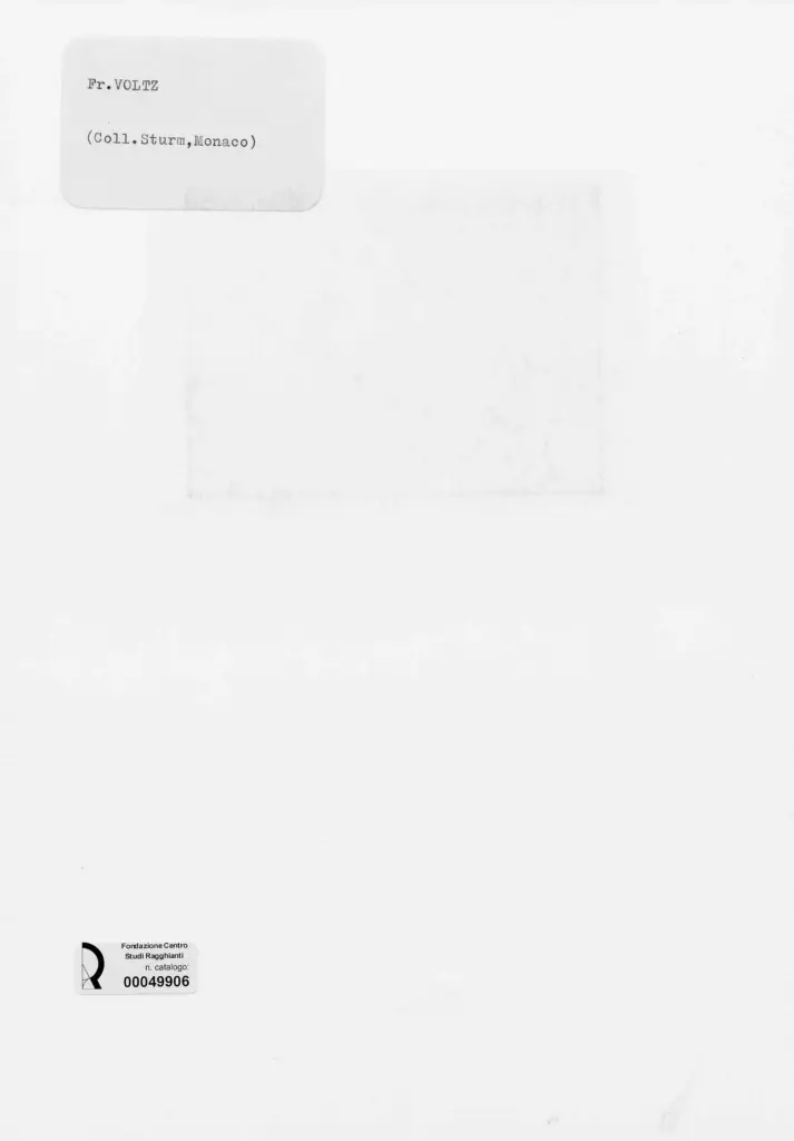 Anonimo , Voltz, Friedrich Johann - sec. XIX - Mucche in montagna , retro