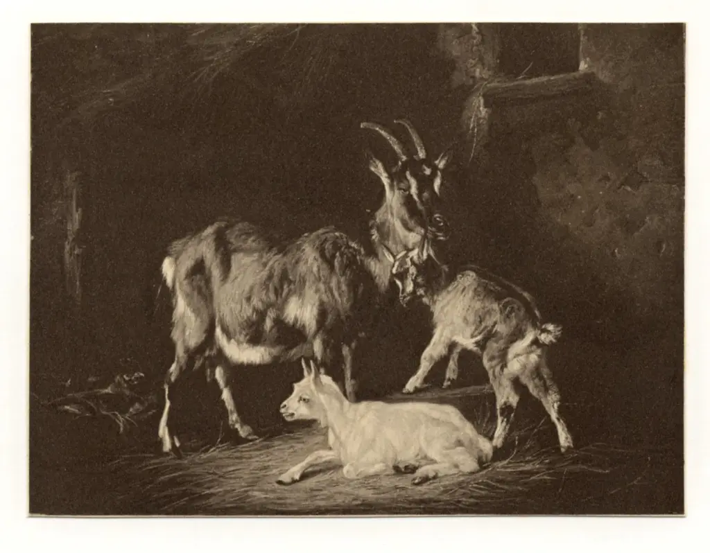 Voltz, Friedrich Johann , Capre