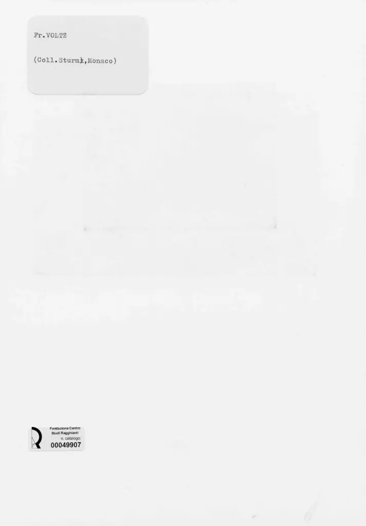 Anonimo , Voltz, Friedrich Johann - sec. XIX - Capre , retro