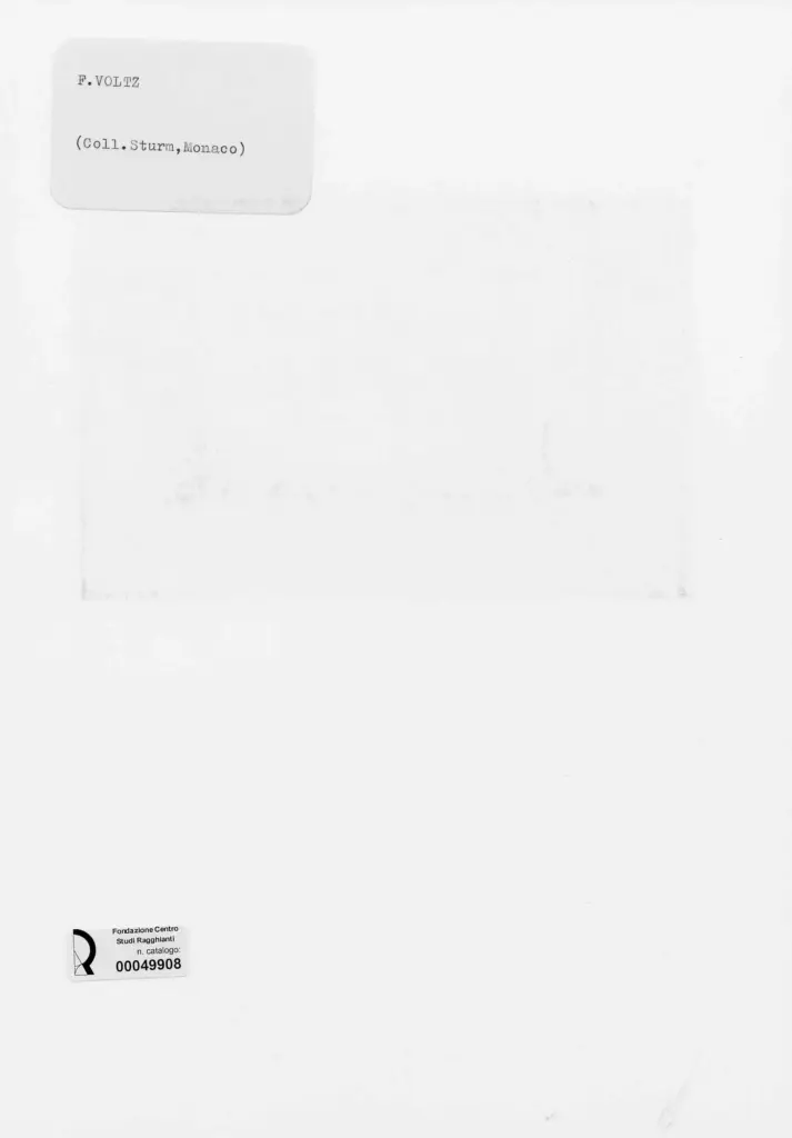 Anonimo , Voltz, Friedrich Johann - sec. XIX - Mucche sul fiume , retro