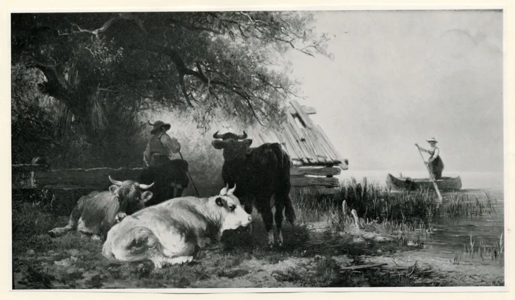 Voltz, Friedrich Johann - sec. XIX , fronte