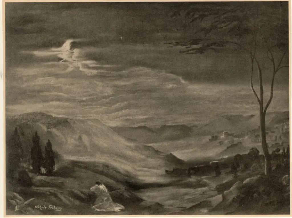 Anonimo , Wehrle-Triberg, Paul , fronte