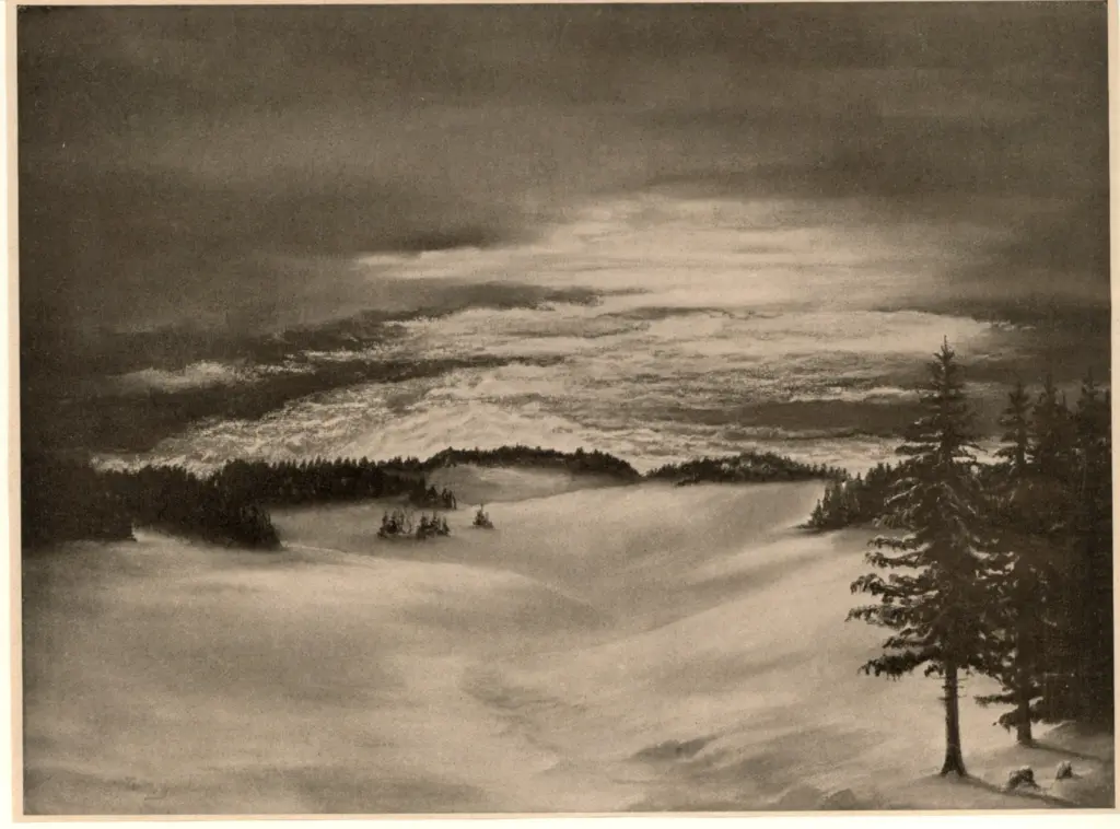 Anonimo , Wehrle-Triberg, Paul sec. XX , fronte