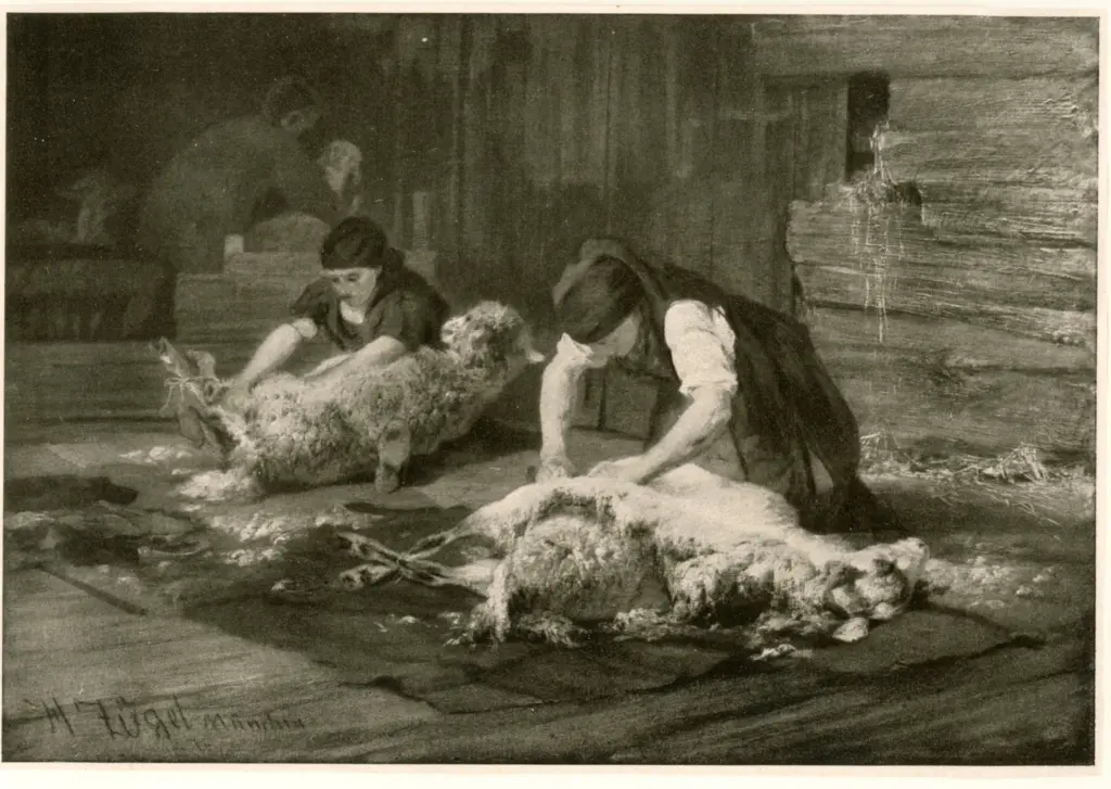 Anonimo , Zugel, Heinrich , fronte