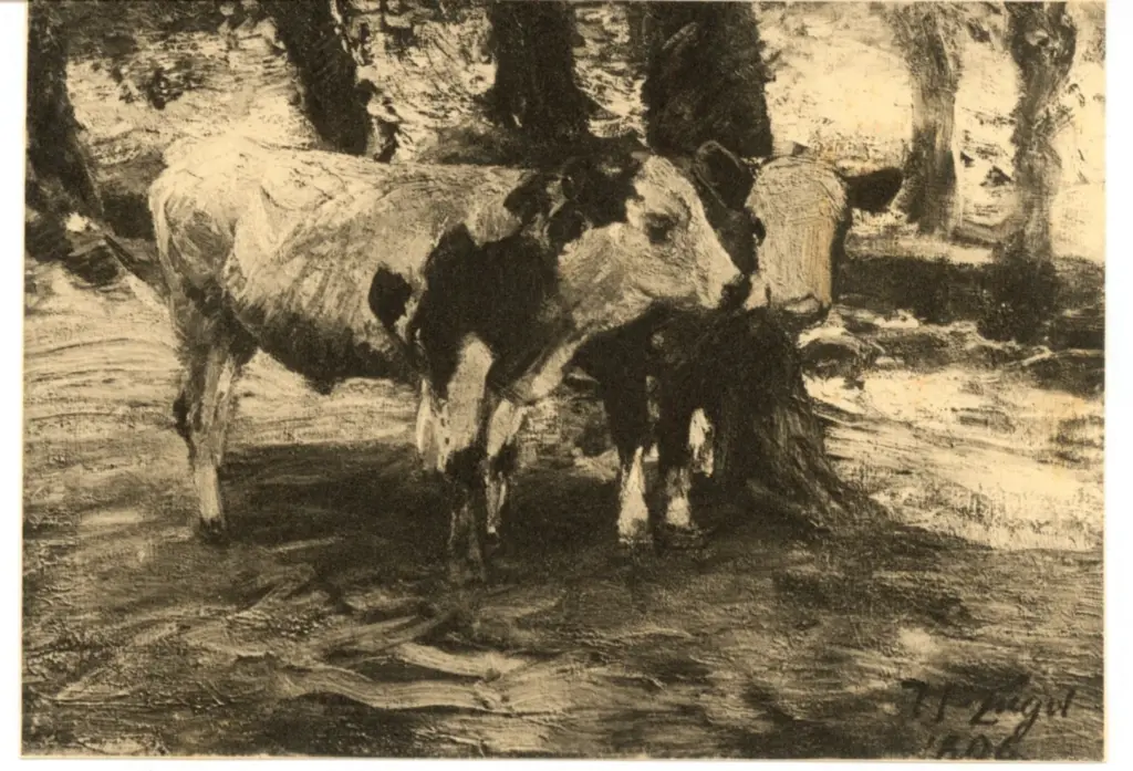 Anonimo , Zugel, Heinrich , fronte