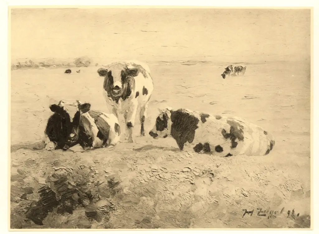 Anonimo , Zugel, Heinrich , fronte