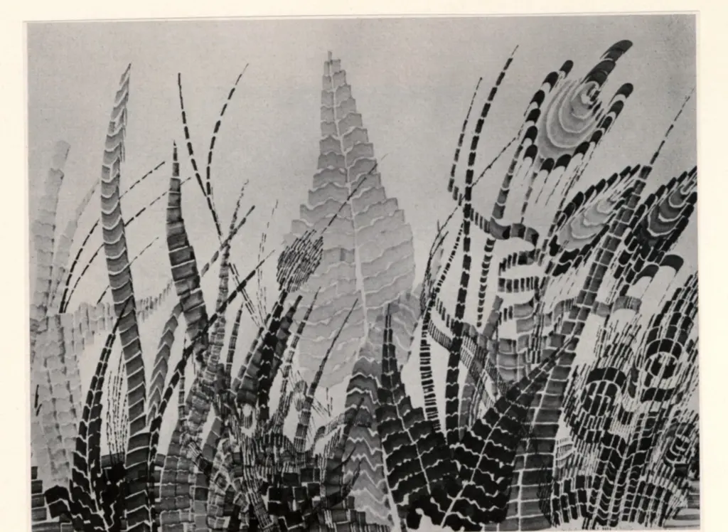 Anonimo , Berke, Hubert - sec. XX - Vegetation , fronte