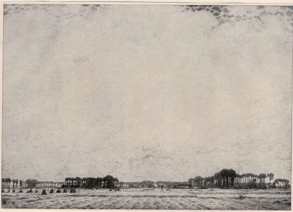 Anonimo, Anonimo , fronte