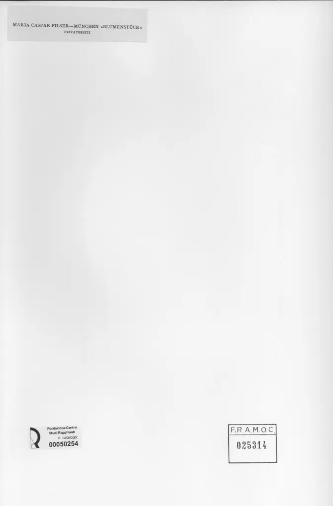 Anonimo, Anonimo , retro