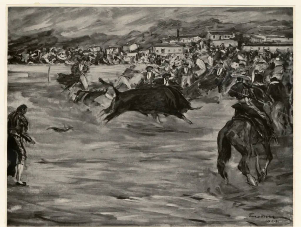 Anonimo , Dill, Otto , fronte