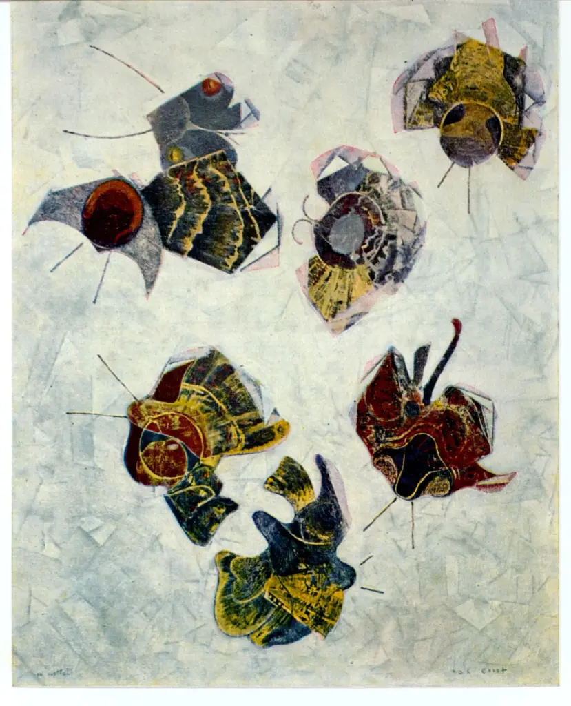 Anonimo, Anonimo , fronte